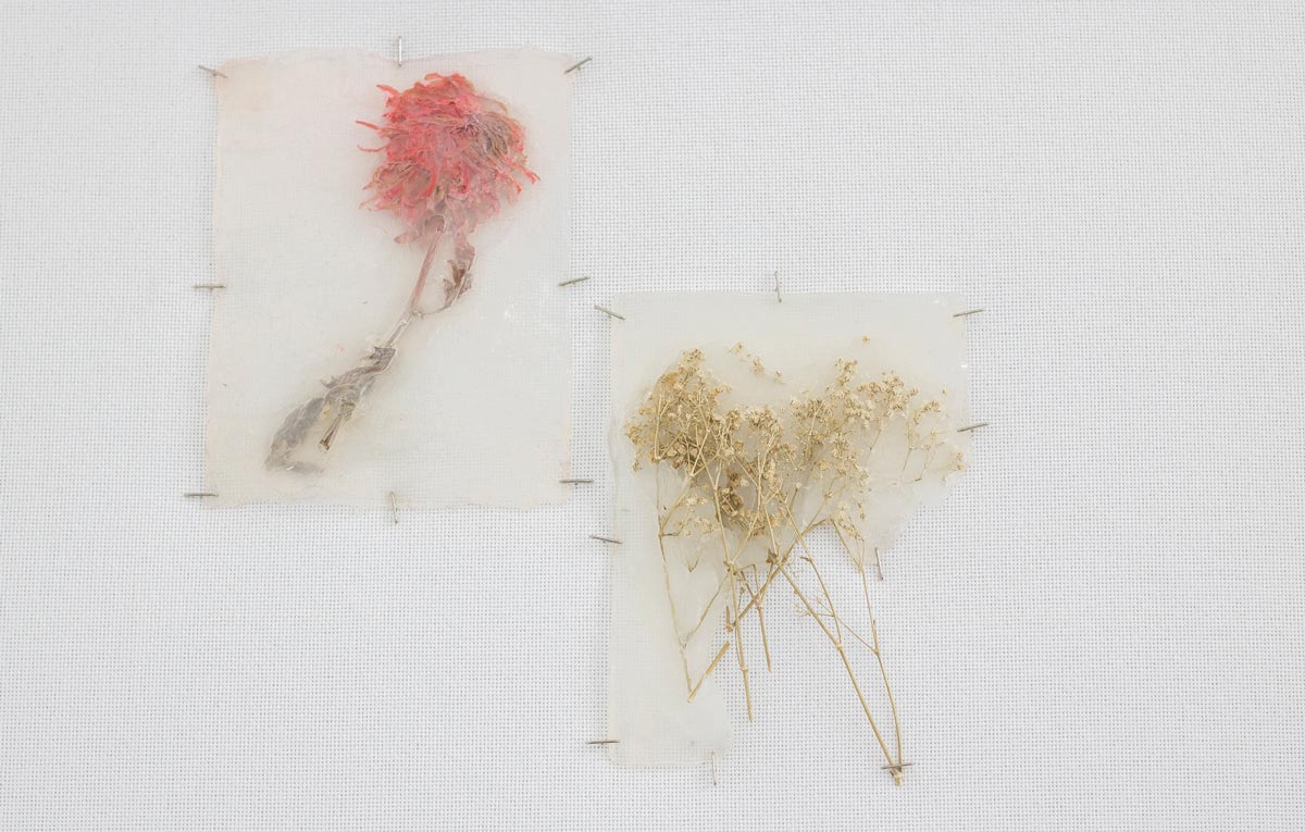 Sara Al Haddad, exhale i, ii, iii, 2016-17, silicone, flowers, plants, impression on tissue, french knots on canvas, dimensions variable - Image courtesy of Marwah Al Haddad